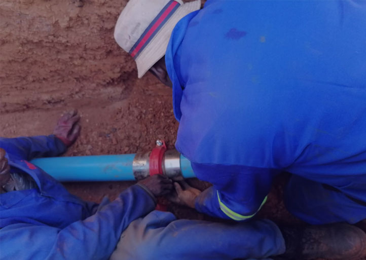 Project Management & Consulting